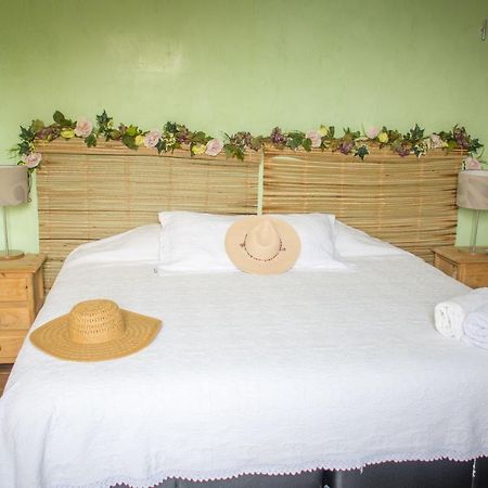 7 San Fernando, Bacalar Villa Jimmy エクステリア 写真